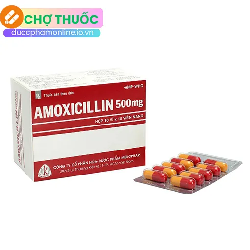 Amoxicillin 500mg Mekophar