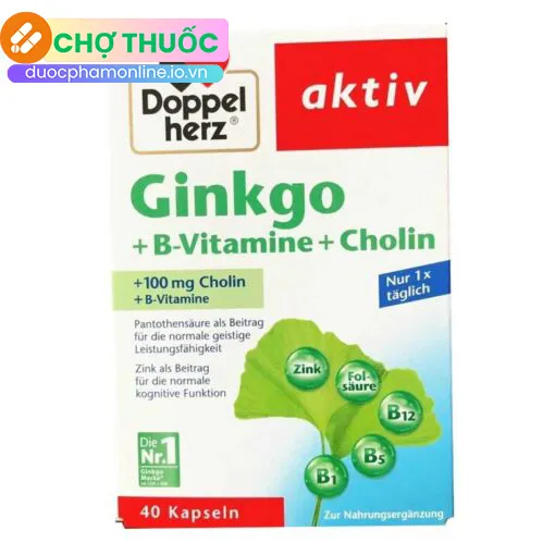 Ginkgo + B-Vitamine + Choline Doppelherz