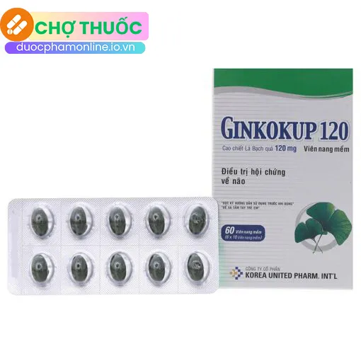 Ginkokup 120