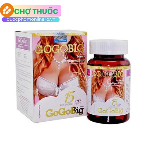GoGoBig