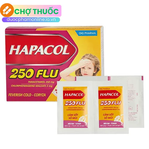 Hapacol 250 Flu