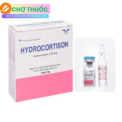 Hydrocortisone 100mg Bidiphar