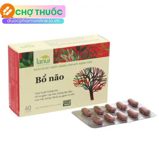 Lanui Memory Bổ Não