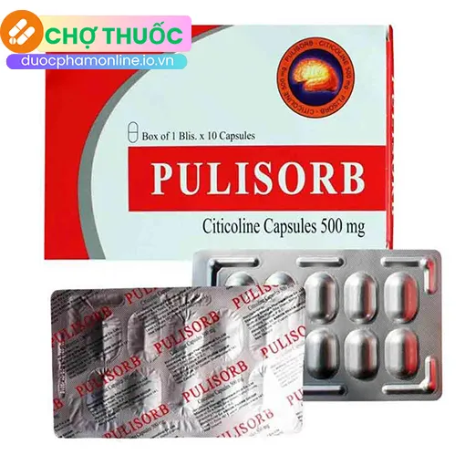 Pulisorb