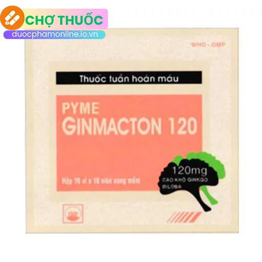 Pyme Ginmacton 120