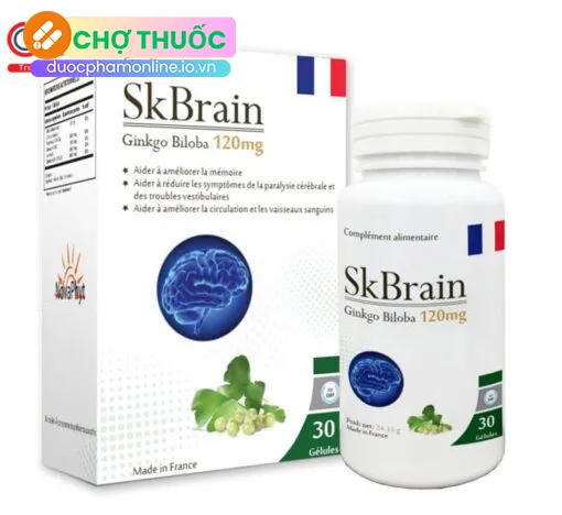 SKBrain Ginkgo Biloba 120mg