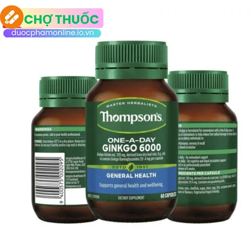 Thompson’s One-A-Day Ginkgo 6000